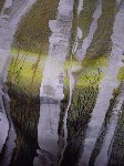 訪問着 木立