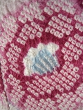 Sou Shibori Furisode USUMURASAKI BOKASHI SHIKINOHANA