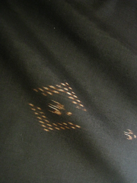 久米島紬 鳥菱模様（きもの）＋和紙絣帯 黒市松（帯） … きもの人 高級 